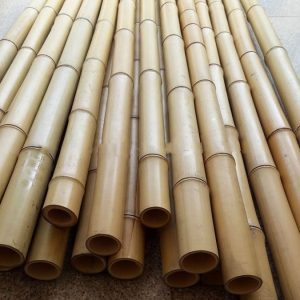 Bamboo poles